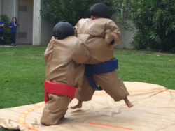 Sumo Wrestling Game