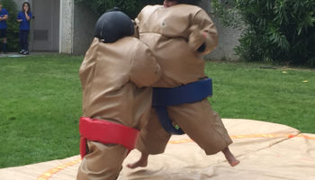 Sumo Wrestling Game