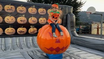 Halloween Mechanical Pumpkin Ride Rental