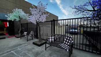 Decor Park Bench and LED Trees Rentals