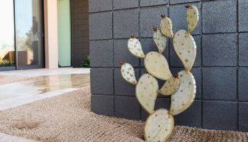 Tall Prickly Pear Prop Decor