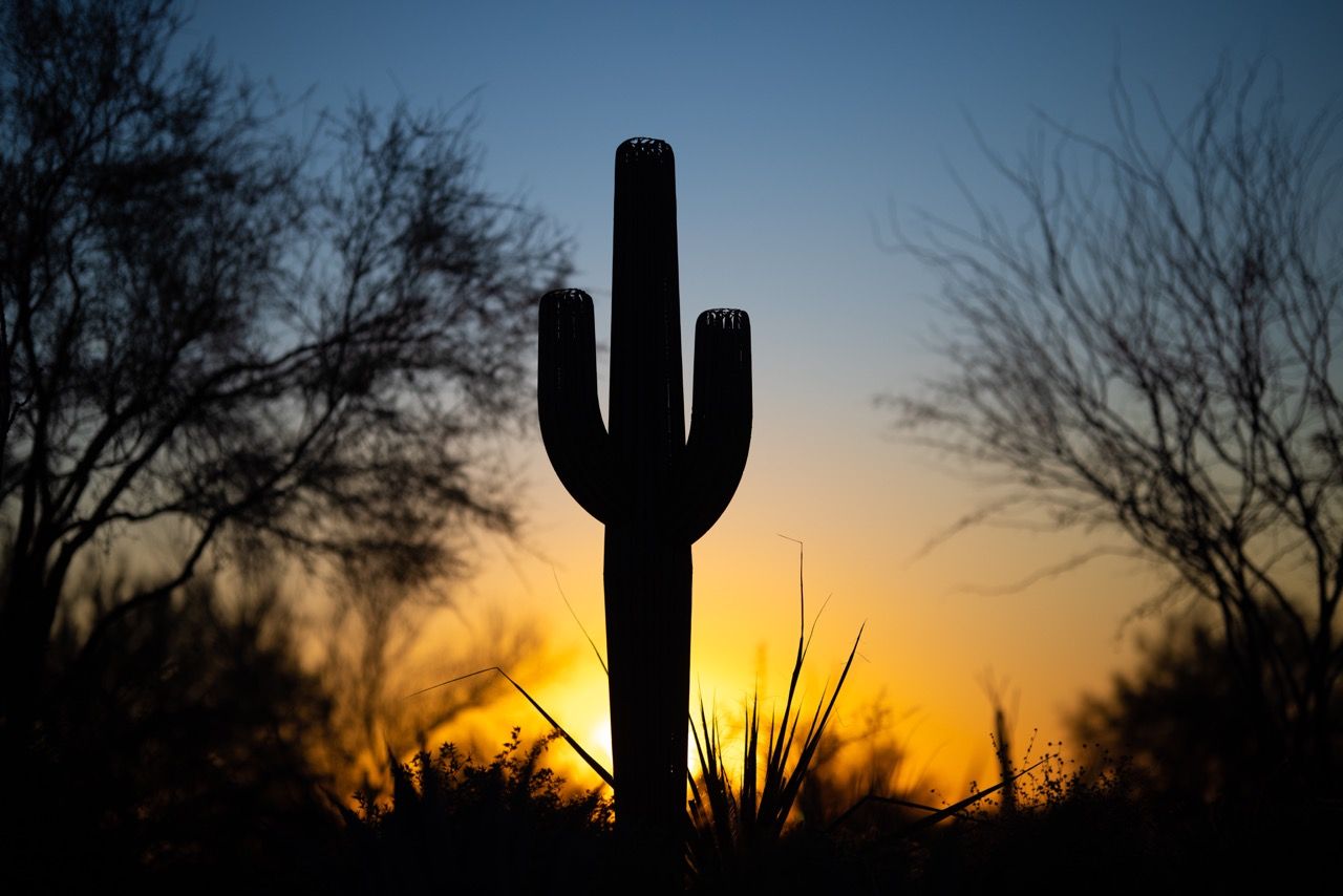 thumbnail interactive-video image 1 of Artificial Saguaro Cactus – 10" Wide 15" Tall Southwest Home Decor New 1 of 4